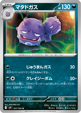 Weezing — Battle Partners 057