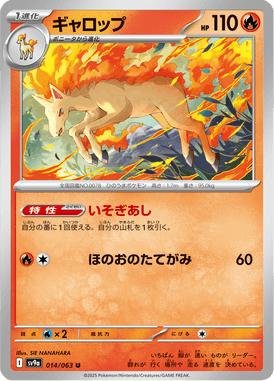 Rapidash — Heat Wave Arena 014