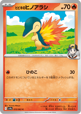 Cyndaquil do Ethan — Heat Wave Arena 015