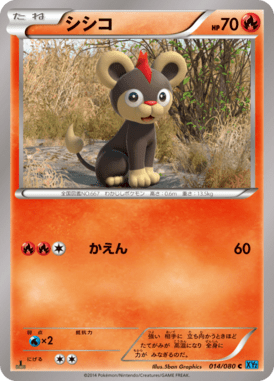 #14 — Wild Blaze 014