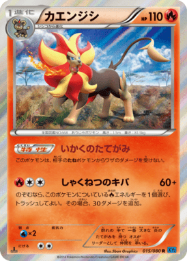 #15 — Wild Blaze 015