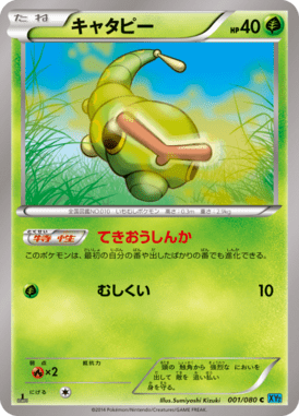 #1 — Wild Blaze 001