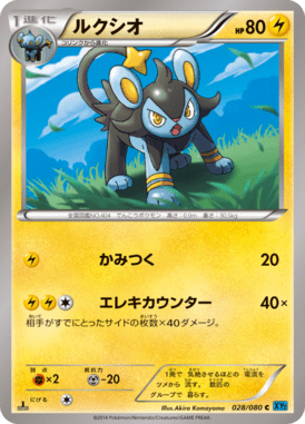 #28 — Wild Blaze 028