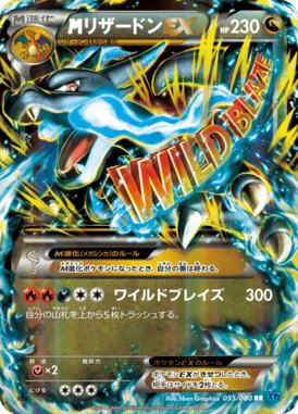 #55 — Wild Blaze 055