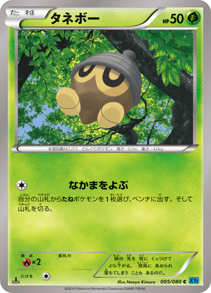 #5 — Wild Blaze 005