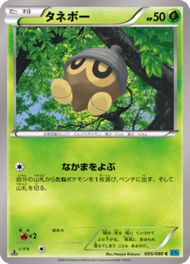 #5 — Wild Blaze 005