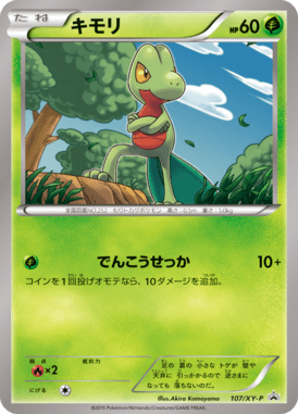 #107 — XY Promotional Cards 107
