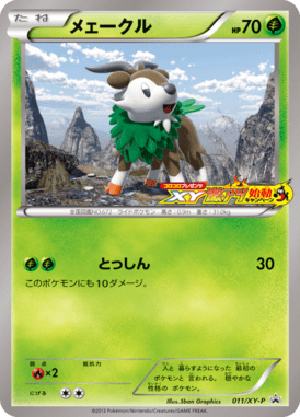 #11 — XY Promotional Cards 011