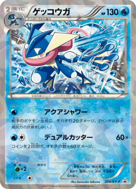 #209 — XY Promotional Cards 209