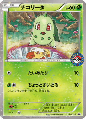 #222 — XY Promotional Cards 222