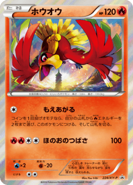 #224 — XY Promotional Cards 224