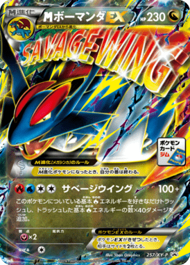 #257 — XY Promotional Cards 257