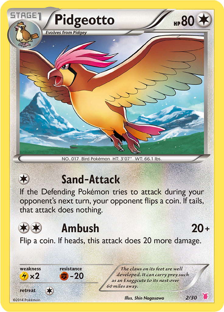 Pidgeotto — XY trainer Kit (Wigglytuff) 2