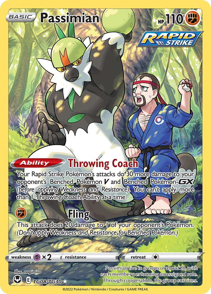 Passimian — Tempestade Prateada Galeria de Treinador TG08