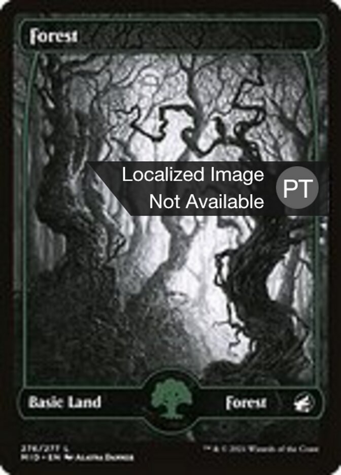 Floresta - Innistrad: Midnight Hunt