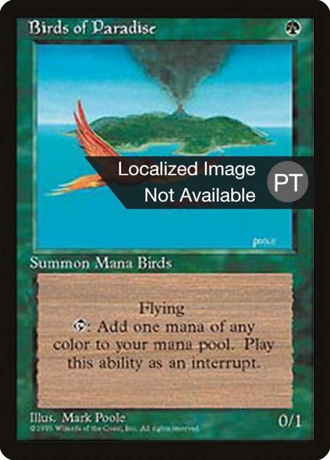 Aves do Paraíso - Fourth Edition Foreign Black Border