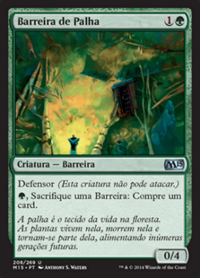 Barreira de Palha - Magic 2015