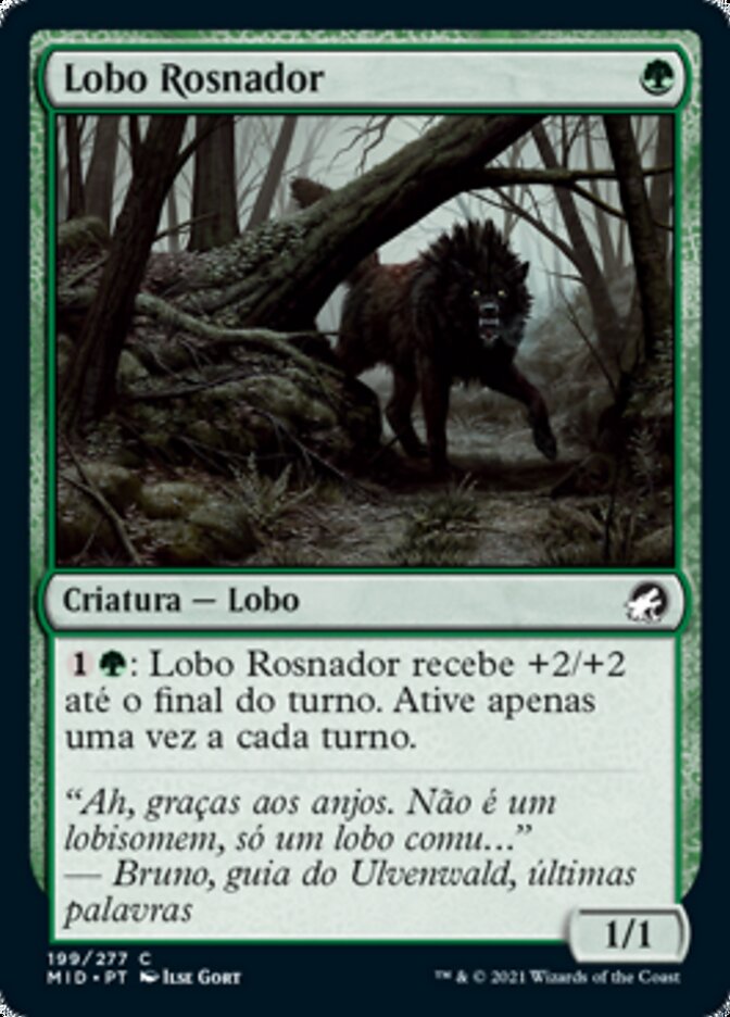 Lobo Rosnador - Innistrad: Midnight Hunt