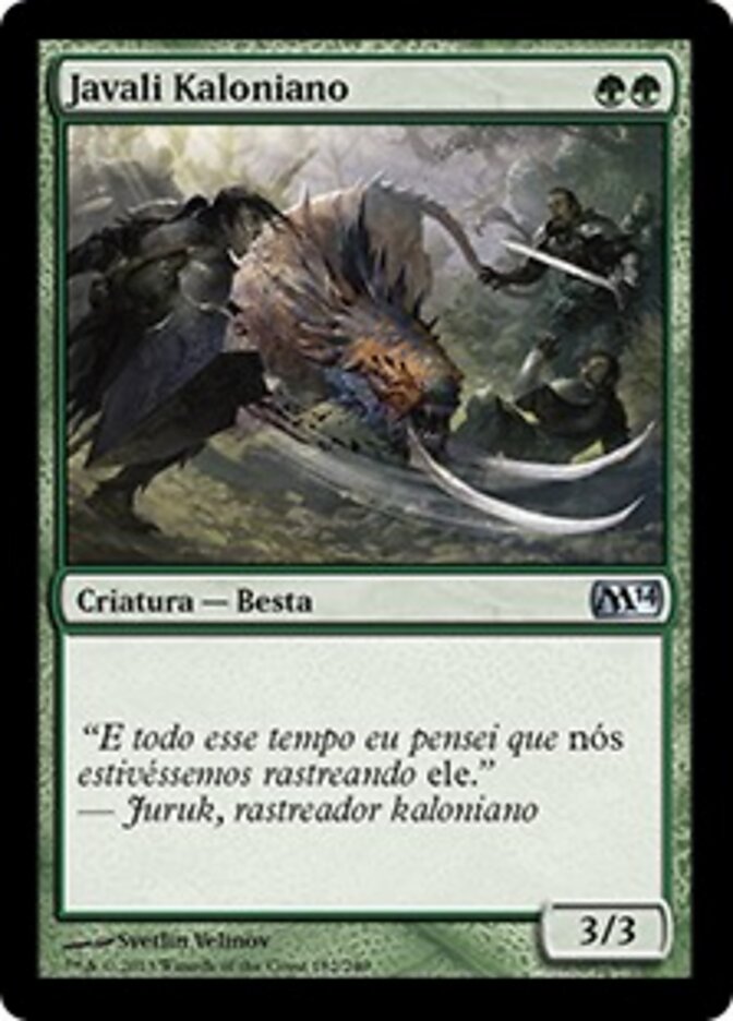 Javali Kaloniano - Magic 2014