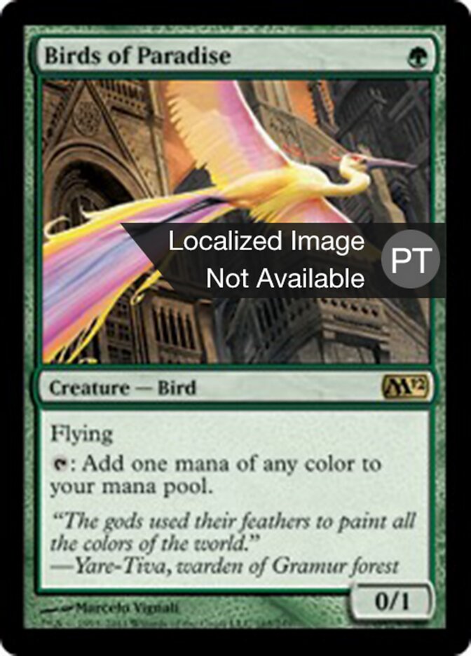 Aves do Paraíso - Magic 2012