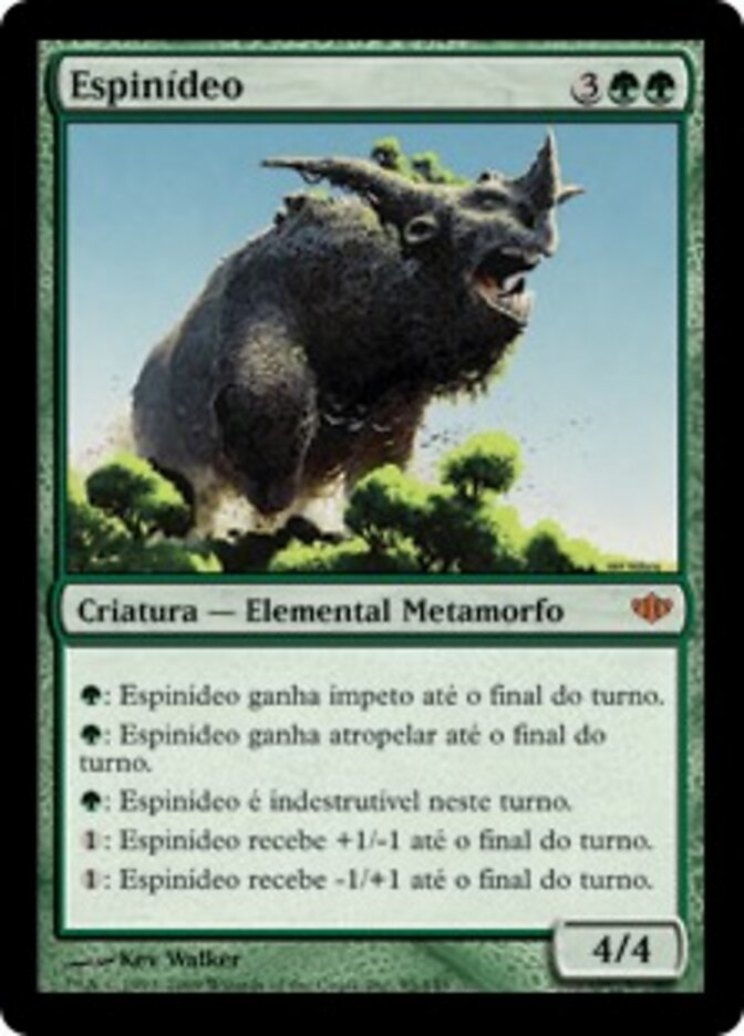 Espinídeo - Conflux