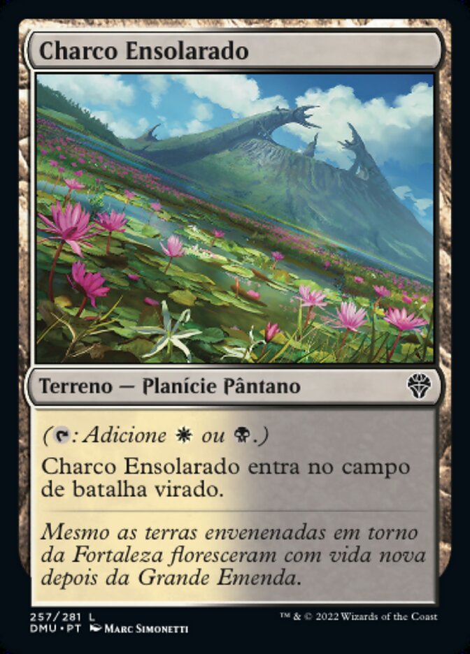 Charco Ensolarado - Dominaria United