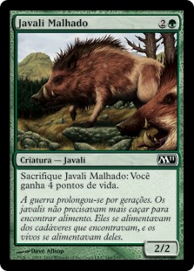 Javali Malhado - Magic 2011