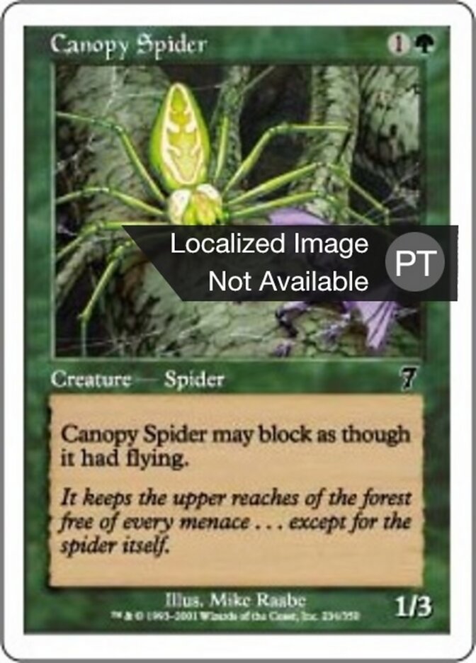Aranha Baldaquina - Seventh Edition
