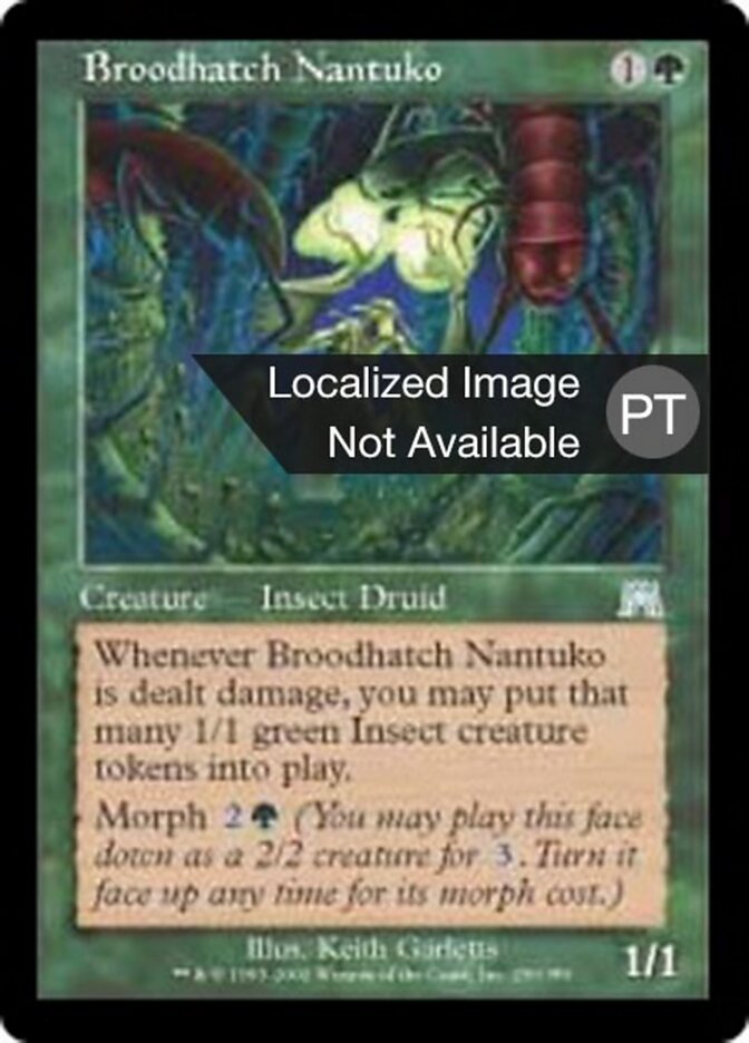 Nantuko Choca-Ninhadas - Onslaught