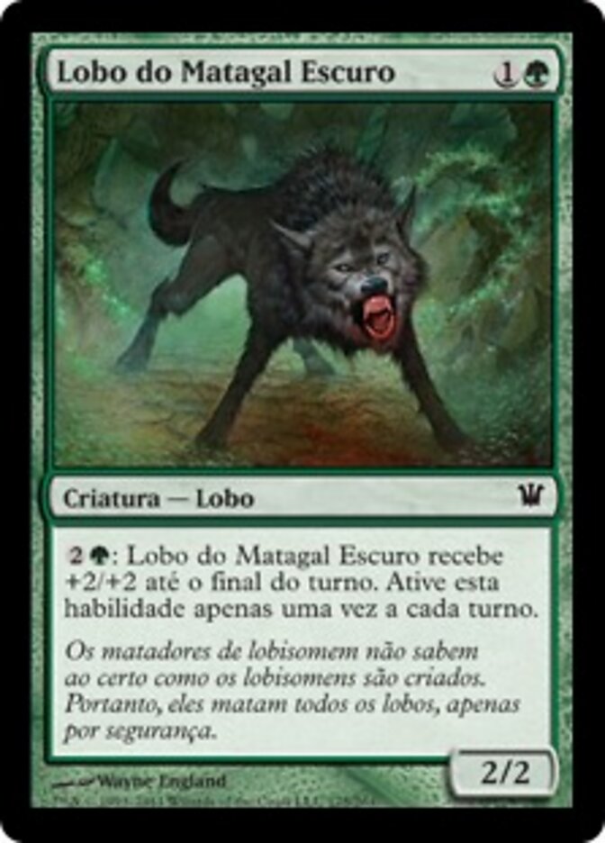 Lobo do Matagal Escuro - Innistrad