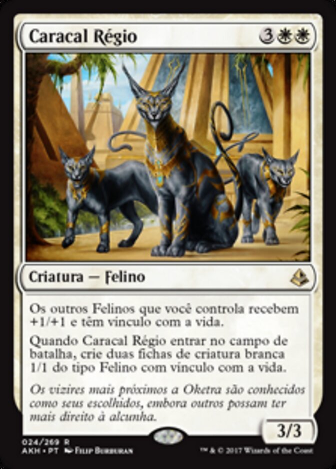 Caracal Régio - Amonkhet