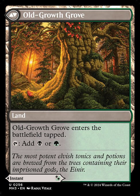 Old-Growth Grove (verso)