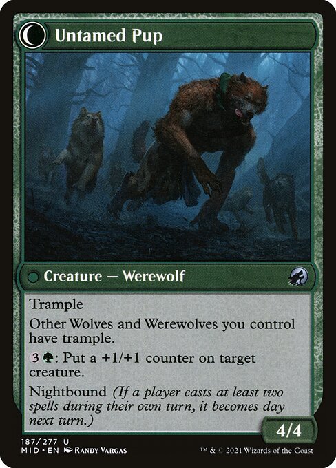 Untamed Pup (verso)