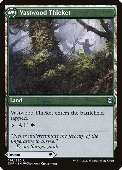 Vastwood Thicket (verso)
