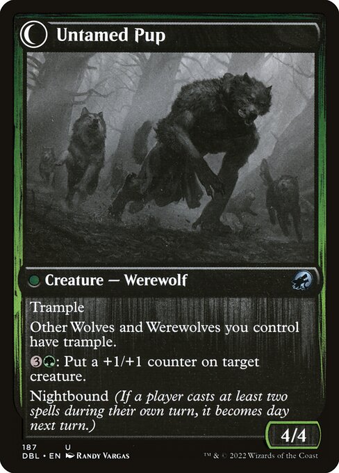 Untamed Pup (verso)