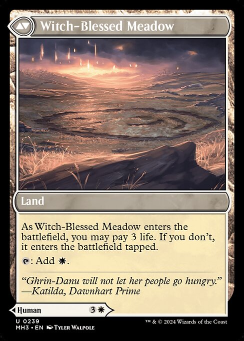 Witch-Blessed Meadow (verso)