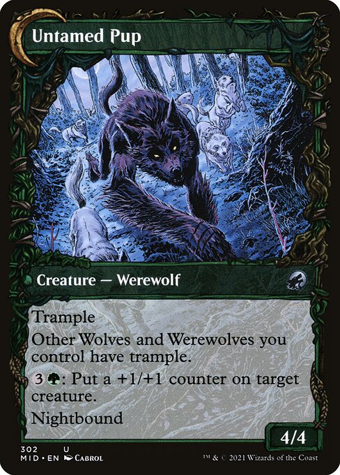 Untamed Pup (verso)