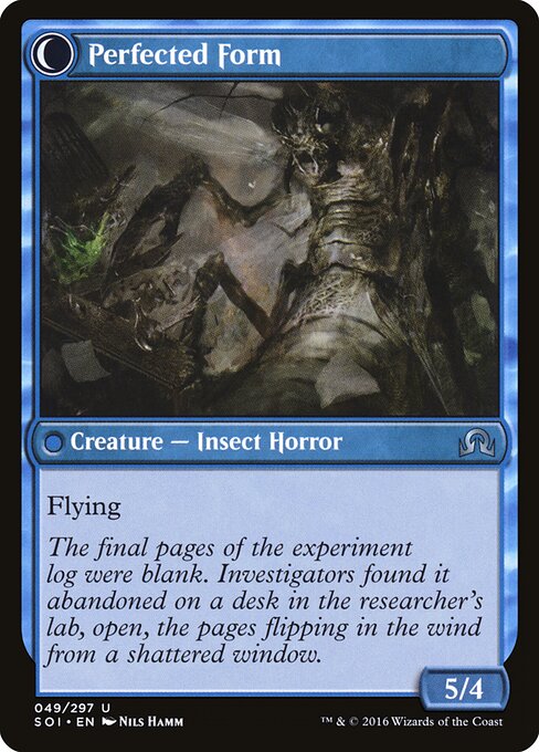 Perfected Form (verso)