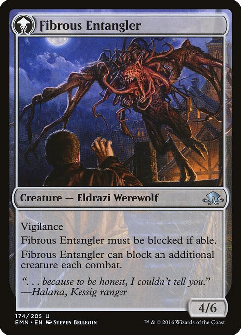 Fibrous Entangler (verso)