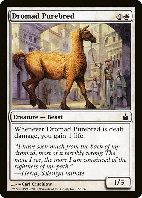 Dromedário Raça Pura — Ravnica: City of Guilds 15