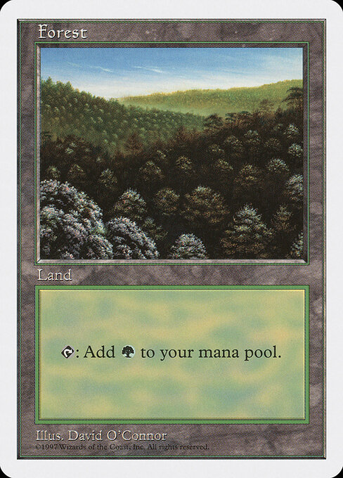 Forest