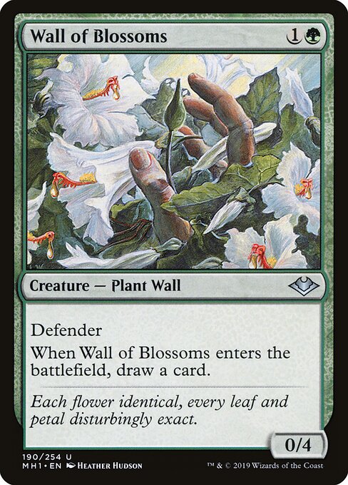 Barreira de Flores — Modern Horizons 190