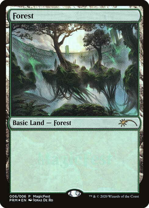 Floresta — MagicFest 2020 6