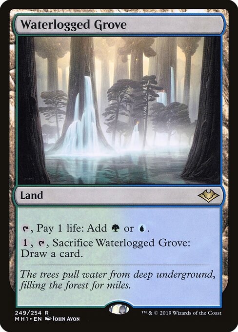 Bosque Encharcado — Modern Horizons 249