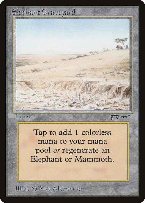 Elephant Graveyard