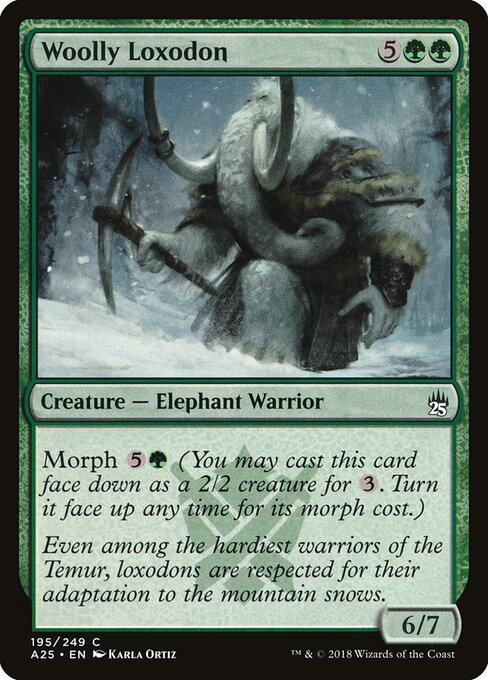 Loxodonte Lanoso — Masters 25 195