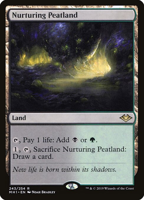 Turfeira Nutriz — Modern Horizons 243