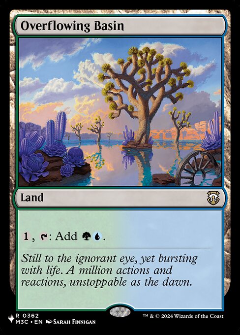 Overflowing Basin — The List M3C-362