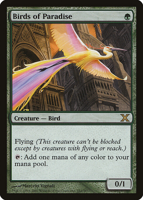 Aves do Paraíso — Tenth Edition 252