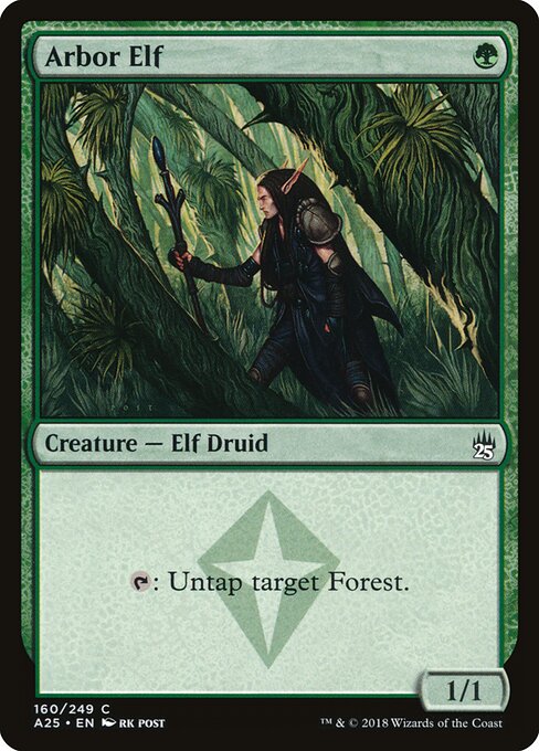 Elfo do Arvoredo — Masters 25 160